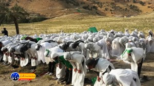 گزارش تصویری مراسم بازسازی عید غدیر خم در روستای تمنک از توابع بخش پاتاوه شهرستان دنا (۴۱)