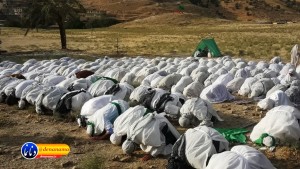 گزارش تصویری مراسم بازسازی عید غدیر خم در روستای تمنک از توابع بخش پاتاوه شهرستان دنا (۴۲)