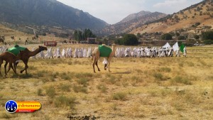 گزارش تصویری مراسم بازسازی عید غدیر خم در روستای تمنک از توابع بخش پاتاوه شهرستان دنا (۲۴۲)