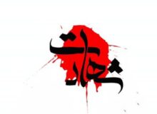 شهادت جوان کهگیلویه و بویراحمدی در فارس