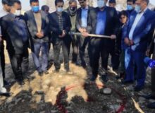 چرا روشنفکر به جای نشاندن جاودان‌سیرت، کوپنش را خرج ماده ۲۳ بیمارستان پاتاوه نکرد؟