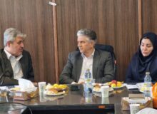 تاجگردون: گچساران ظرفیت تبدیل شدن به قطب پزشکی جنوب کشور را دارد